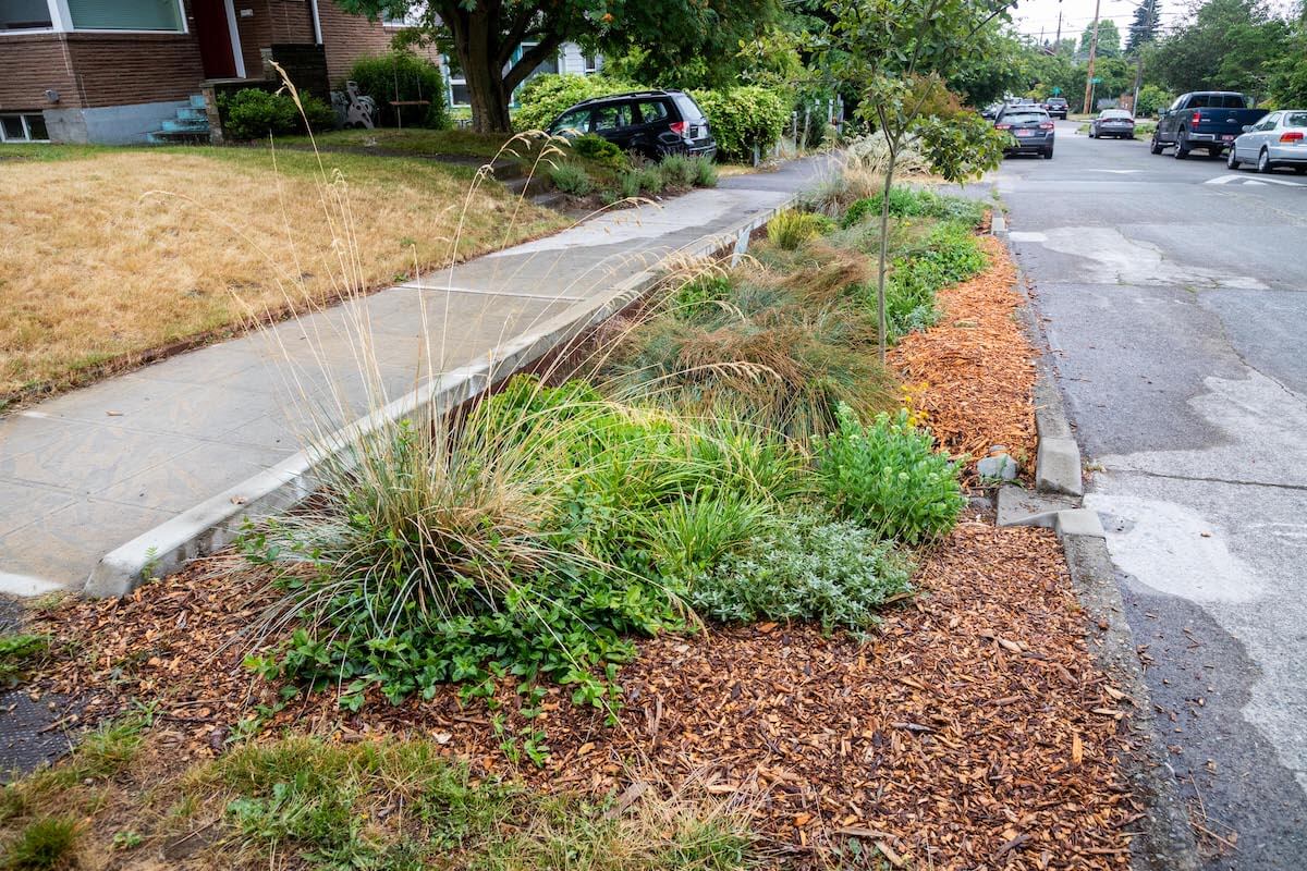 Ballard Roadside Rain Gardens Project