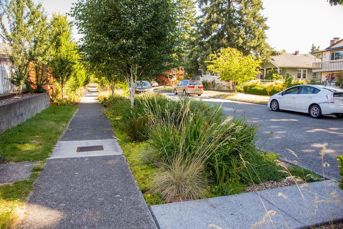 Barton Roadside Rain Gardens