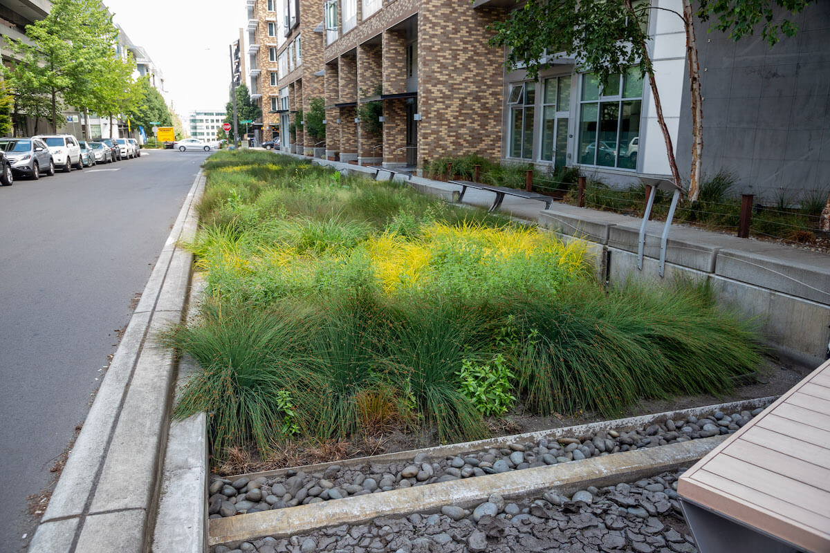 Seattle Public Utilities Partners with Vulcan to Reduce Pollution