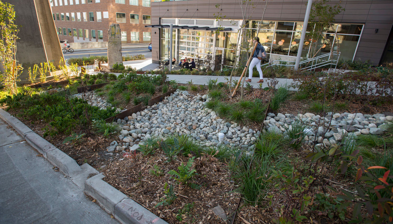Fremont Bioswale Project