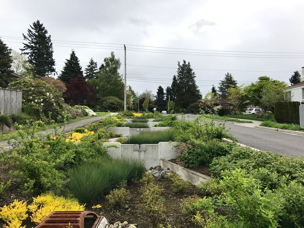 Venema Creek in the Broadview neighborhood